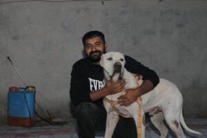 Indian bully